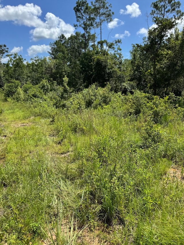 5125 Kinderlou Clyattville Rd, Valdosta, GA 31601