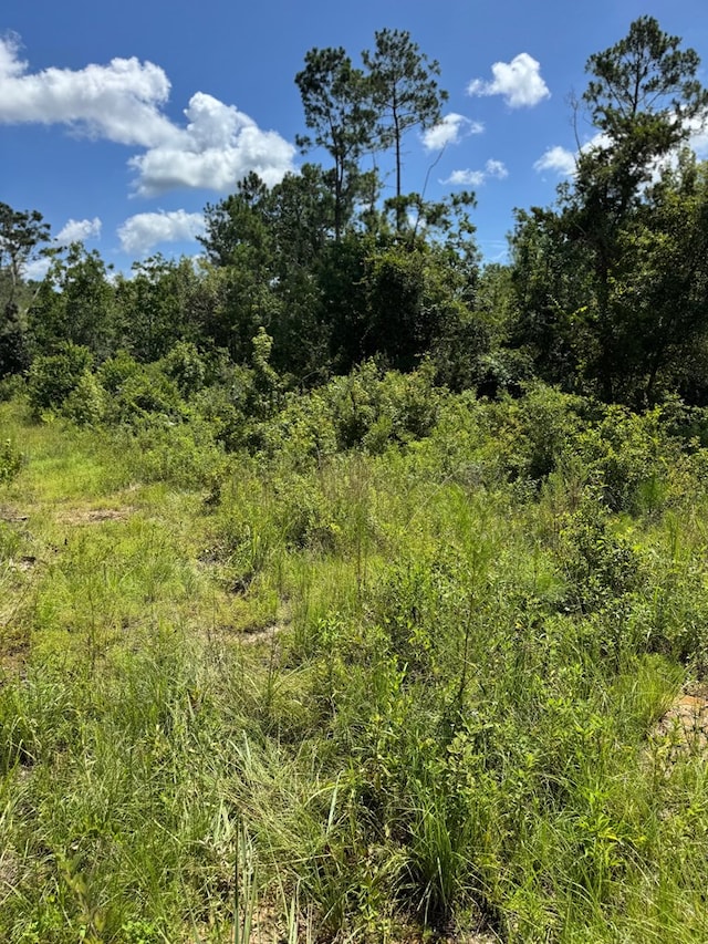 5125 Kinderlou Clyattville Rd, Valdosta, GA 31601