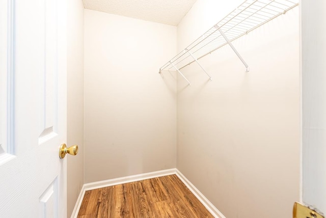 spacious closet featuring hardwood / wood-style floors