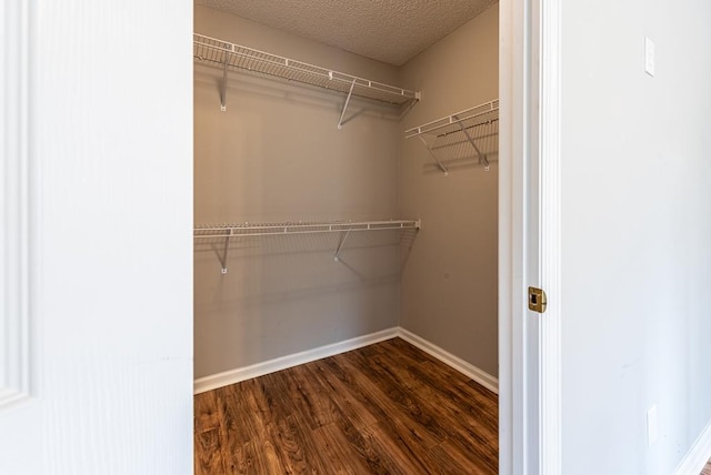 spacious closet with hardwood / wood-style flooring