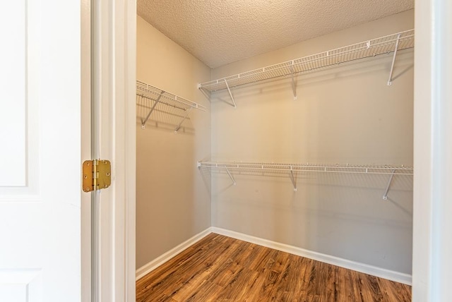 spacious closet featuring wood-type flooring