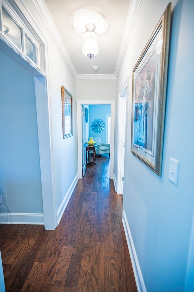 5643 Timberwind Cir, Lake Park, GA 31636 - hallway featuring dark wood-style floors, ornamental molding, and baseboards