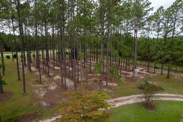 4873 Johnston Rd, Valdosta, GA 31606 - photo 75