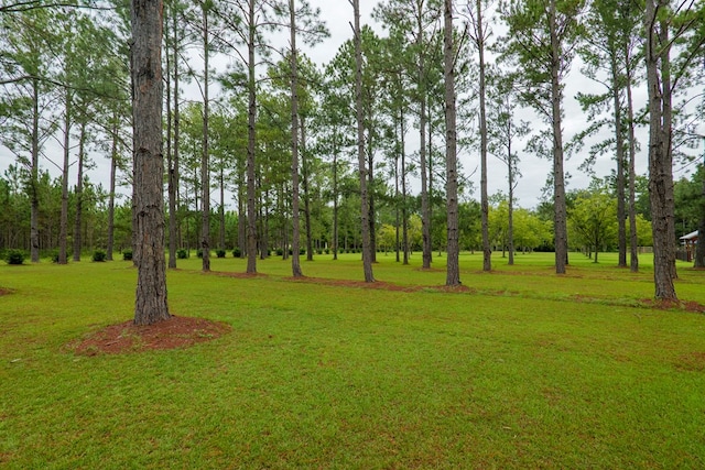 4873 Johnston Rd, Valdosta, GA 31606 - photo 68