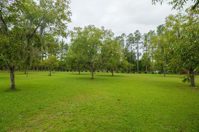 4873 Johnston Rd, Valdosta, GA 31606 - photo 71