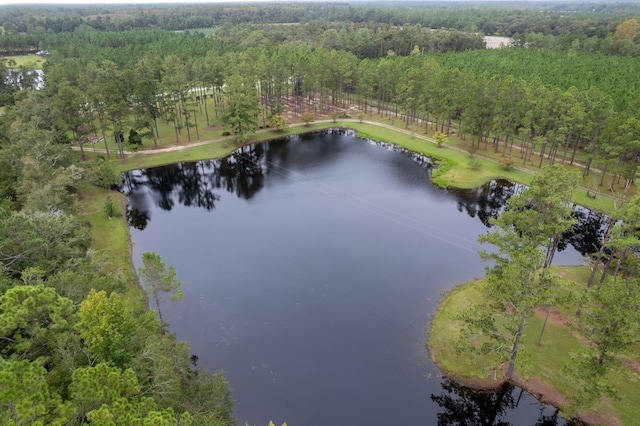 4873 Johnston Rd, Valdosta, GA 31606 - photo 78