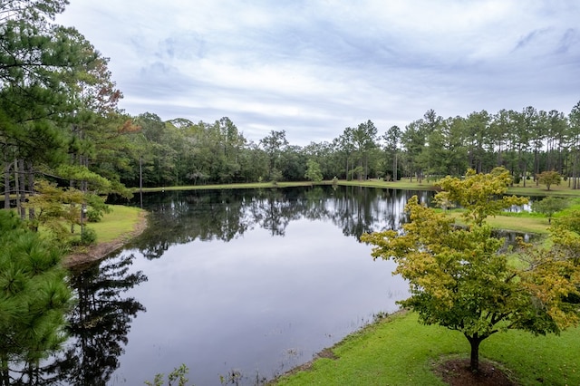 4873 Johnston Rd, Valdosta, GA 31606 - photo 72