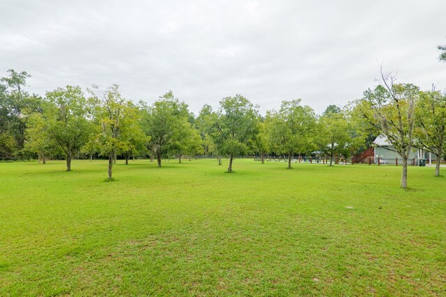 4873 Johnston Rd, Valdosta, GA 31606 - photo 70