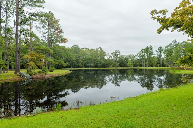 4873 Johnston Rd, Valdosta, GA 31606 - photo 65