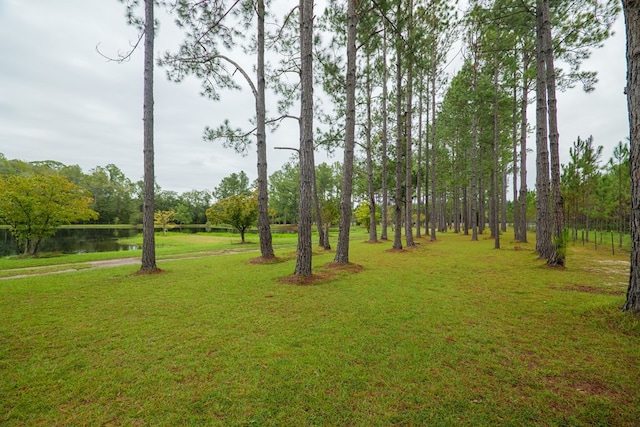 4873 Johnston Rd, Valdosta, GA 31606 - photo 67