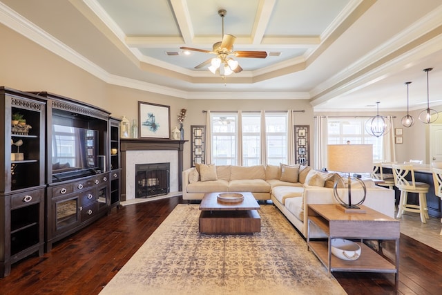 living area featuring beamed ceiling, dark wood finished floors, and a healthy amount of sunlight