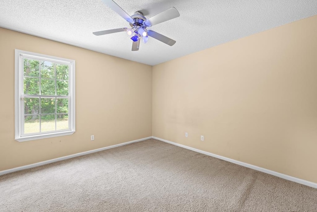 1622 Shane Cir, Nashville, GA 31639 - photo 39