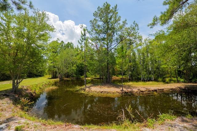 6211 Hardee Rd, Hahira, GA 31632 - photo 38