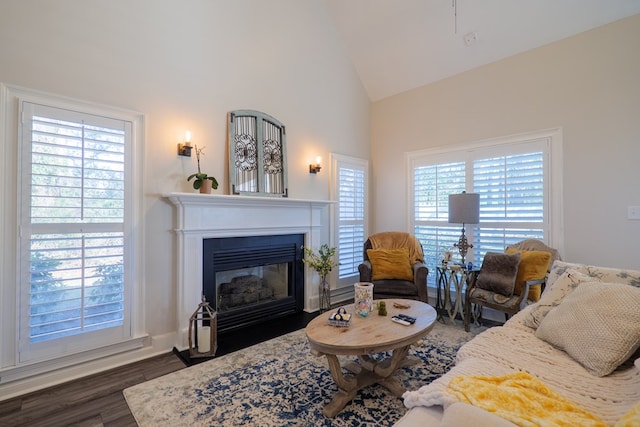 living area with vaulted ceiling, wood finished floors, and a fireplace with flush hearth