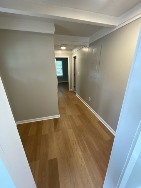 corridor with wood-type flooring