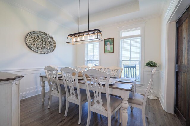 dining area featuring a raised ceiling, dark wood-type flooring, and crown molding