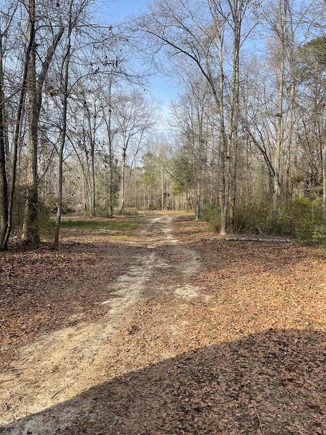 view of road