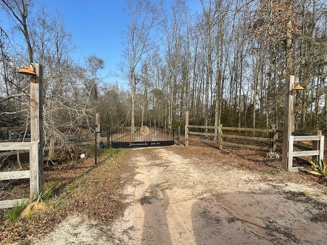 view of street featuring dirt driveway, a gated entry, and a gate