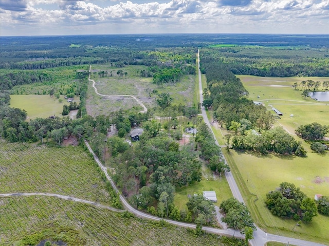 8262 Troupeville Rd, Valdosta, GA 31602 - aerial overview of property's location with a nearby body of water and rural landscape