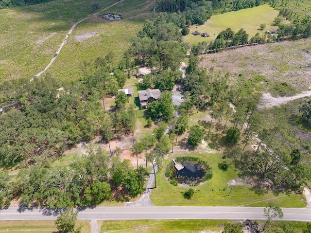 8262 Troupeville Rd, Valdosta, GA 31602 - overview of rural landscape