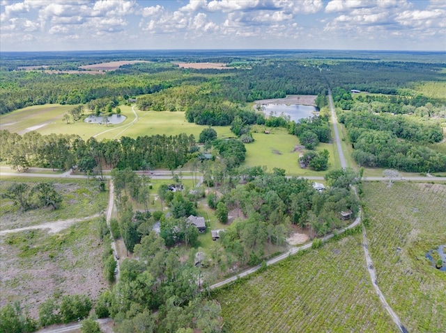 8262 Troupeville Rd, Valdosta, GA 31602 - view of property location featuring a large body of water, a forest, and rural landscape