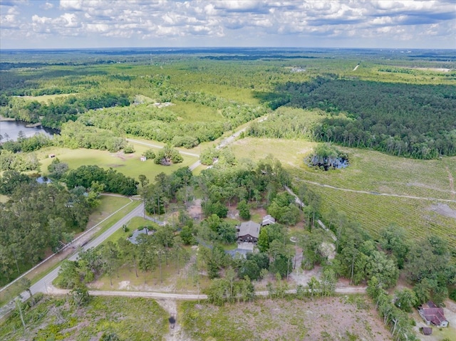 8262 Troupeville Rd, Valdosta, GA 31602 - view of property location featuring a forest, rural landscape, and a large body of water