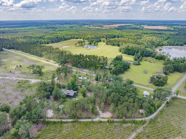 8262 Troupeville Rd, Valdosta, GA 31602 - aerial view of property and surrounding area featuring a large body of water and a forest