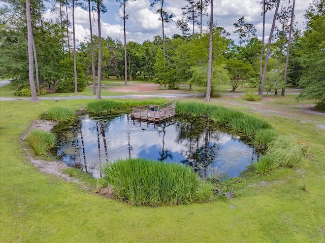 8262 Troupeville Rd, Valdosta, GA 31602 - surrounding community featuring a yard