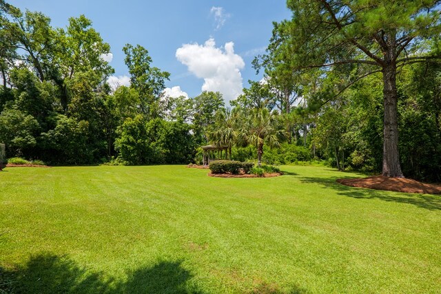 103 Bear Creek Rd, Adel, GA 31620 - photo 45