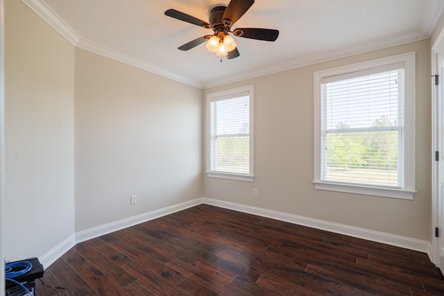 spare room featuring baseboards, a wealth of natural light, and dark wood finished floors