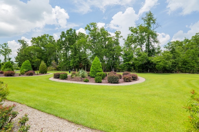 3870 Timber Ridge Rd, Valdosta, GA 31601 - view of green lawn with view of scattered trees