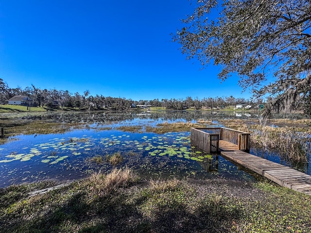 view of dock with a water view