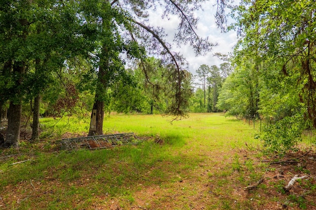 view of nature with a forest view