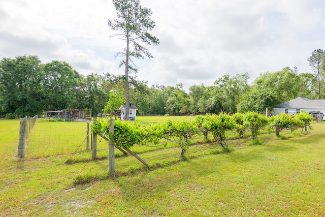 view of yard featuring a rural view