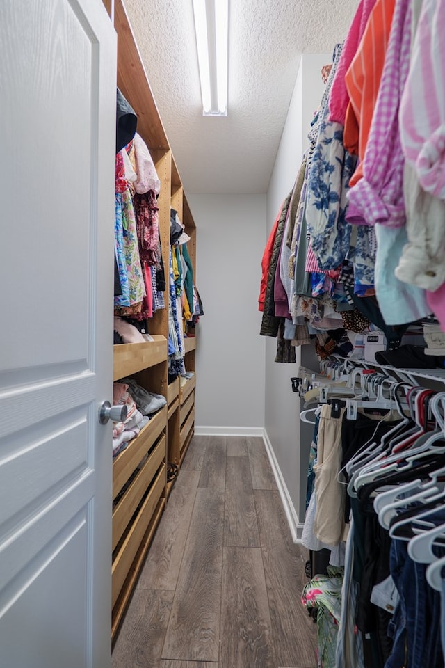 spacious closet featuring dark wood-style flooring