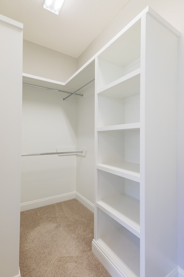 spacious closet featuring carpet floors