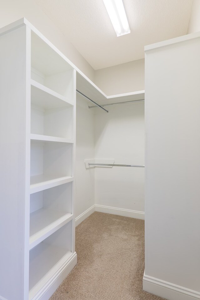 spacious closet featuring light colored carpet