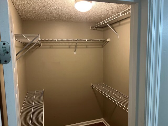 4800 Old Valdosta-Belleville Rd, Lake Park, GA 31636 - photo 11