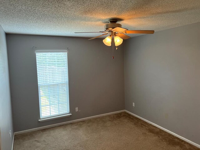 4800 Old Valdosta-Belleville Rd, Lake Park, GA 31636 - photo 14