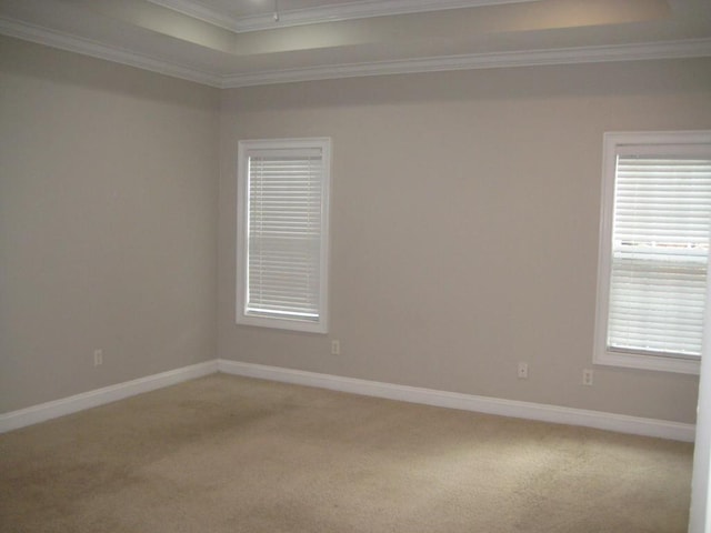 3745 Old Vine Way, Valdosta, GA 31605 - spare room with crown molding, light carpet, a tray ceiling, and baseboards