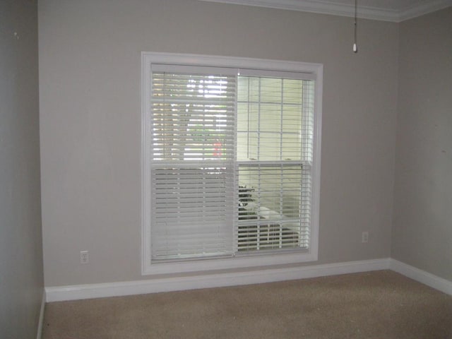 3745 Old Vine Way, Valdosta, GA 31605 - unfurnished room featuring carpet, baseboards, and crown molding