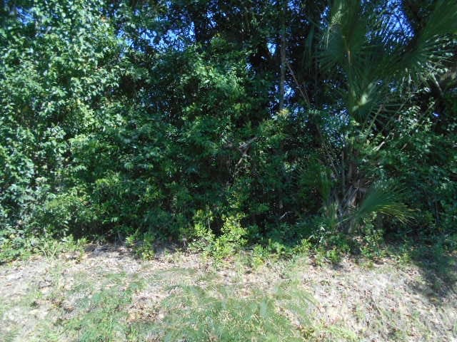 000 E Gordon St, Quitman, GA 31643 - photo 3