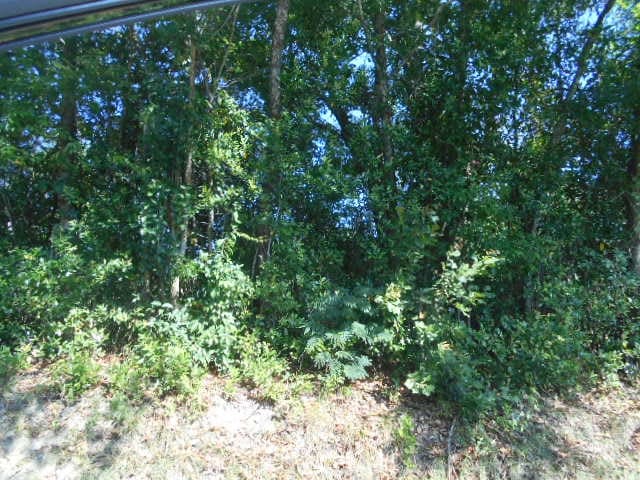 000 E Gordon St, Quitman, GA 31643 - photo 2