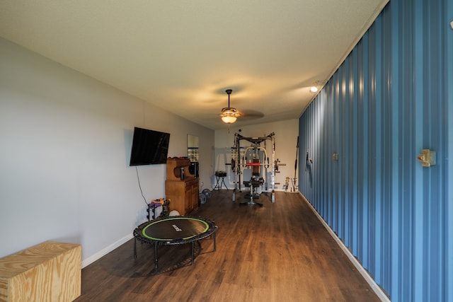 203 Murray Mccranie Rd, Norman Park, GA 31771 - workout room featuring wood finished floors and ceiling fan