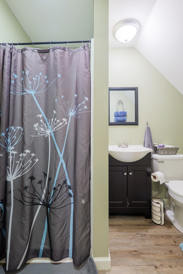 203 Murray Mccranie Rd, Norman Park, GA 31771 - full bathroom featuring wood finished floors, vaulted ceiling, vanity, and a shower with shower curtain