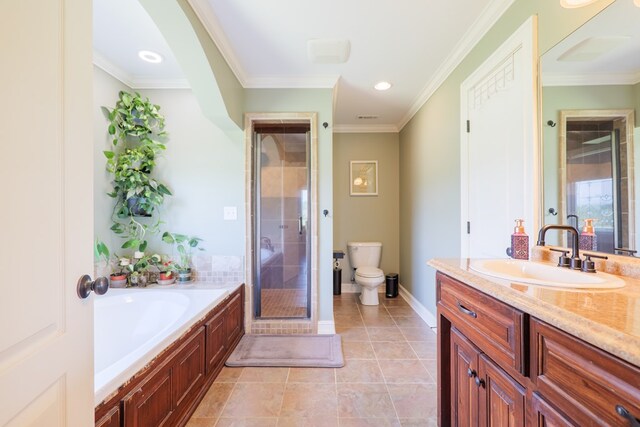 203 Murray Mccranie Rd, Norman Park, GA 31771 - full bathroom with vanity, a shower stall, a garden tub, ornamental molding, and recessed lighting