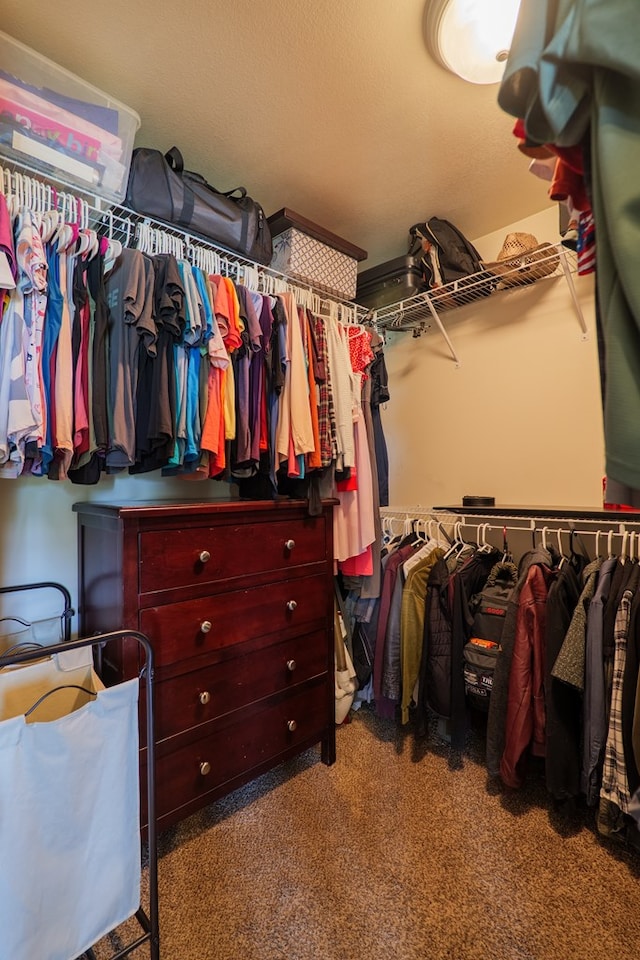 203 Murray Mccranie Rd, Norman Park, GA 31771 - walk in closet with carpet flooring