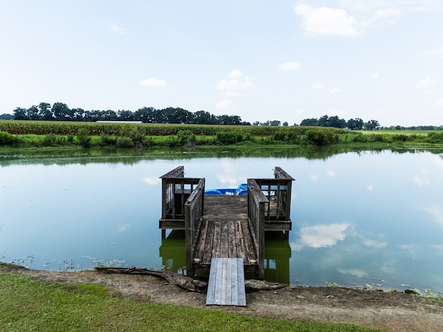 203 Murray Mccranie Rd, Norman Park, GA 31771 - dock area with a water view