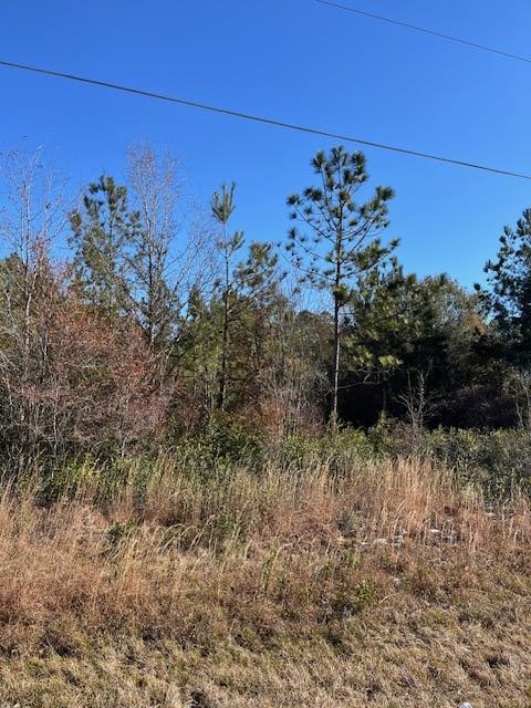 0 Locklier Dr, Homerville GA, 31634 land for sale