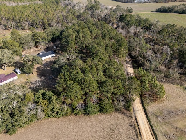 6041 NE Edmundson Rd, Hahira, GA 31632 - aerial view of property and surrounding area with a heavily wooded area